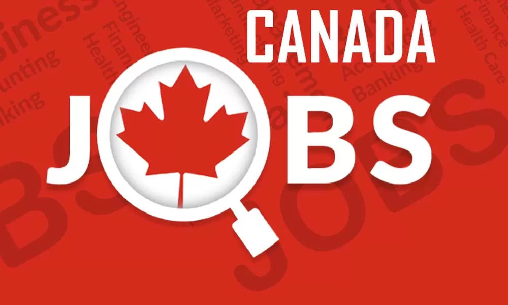 Calling all Professionals: The Latest Job Opportunities in Canada