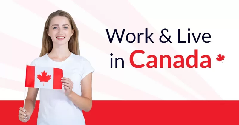 Canada’s Booming Job Market: Top 10 In-Demand Careers